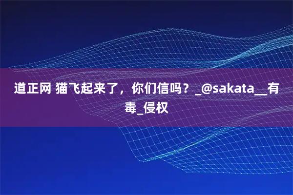 道正网 猫飞起来了，你们信吗？_@sakata__有毒_侵权