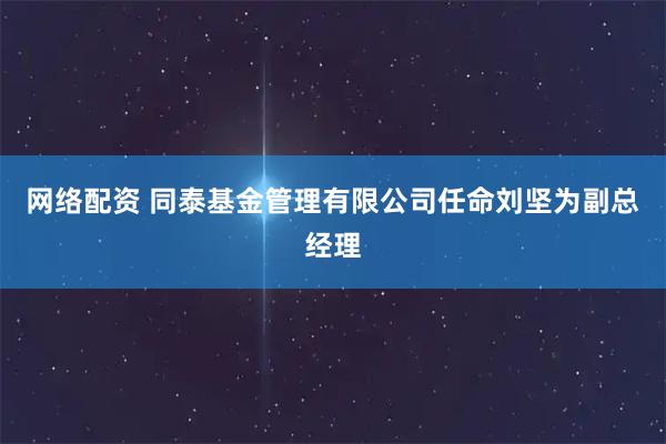 网络配资 同泰基金管理有限公司任命刘坚为副总经理
