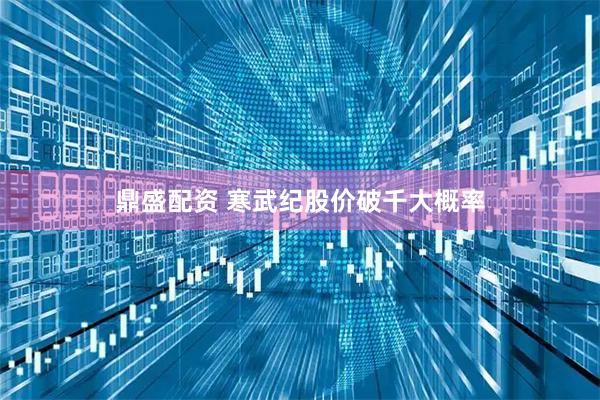 鼎盛配资 寒武纪股价破千大概率
